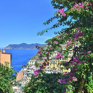 5 Terre For , Riomaggiore Italien